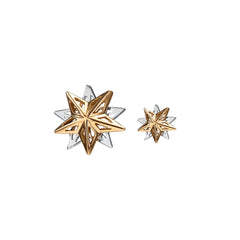 Mix and Match Interchangeable Alpha Star Earrings