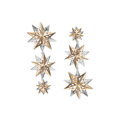 Mix and Match Interchangeable Alpha Star Earrings