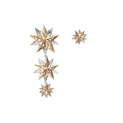 Mix and Match Interchangeable Alpha Star Earrings